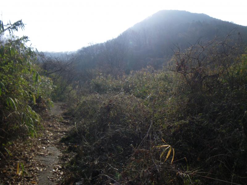 舗装路から見る明神山